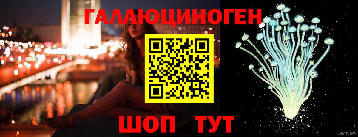 Псилоцибиновые грибы GOLDEN TEACHER  Вход с VPN  Камышлов  Псилоцибиновые грибы Psilocybine cubensis 